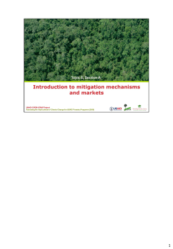 5.1. Introduction to Mitigation Mechanisms and Markets