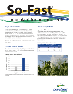 Single-action fertility Superior strain of rhizobia How to