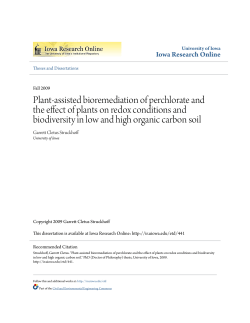 Plant-assisted bioremediation of perchlorate and the effect of plants