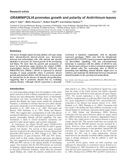 GRAMINIFOLIA promotes growth and polarity of Antirrhinum leaves