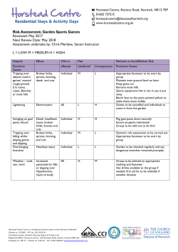 Risk assessment - Garden Sports Games