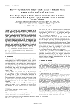 Improved germination under osmotic stress of tobacco plants