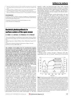 Bacterial photosynthesis in surface waters of the