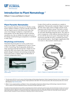 Introduction to Plant Nematology 1