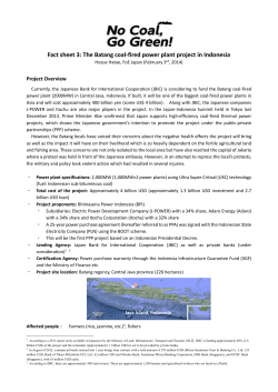 Fact sheet 3: The Batang coal-fired power plant project in Indonesia