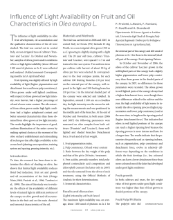 Influence of Light Availability on Fruit and Oil