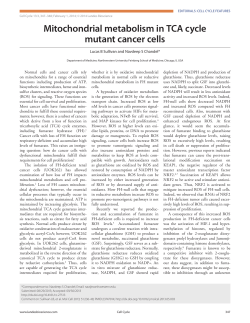 Mitochondrial metabolism in TCA cycle mutant cancer cells