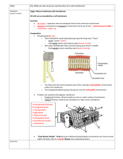 Date: EQ: What are the structure and function of a cell membrane