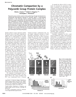 Chromatin Compaction by a Polycomb Group Protein Complex