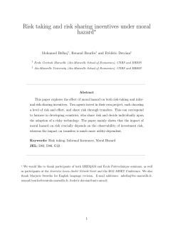 Risk taking and risk sharing incentives under moral hazard