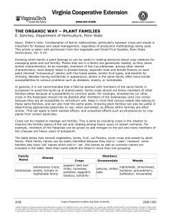 the organic way &ndash; plant families