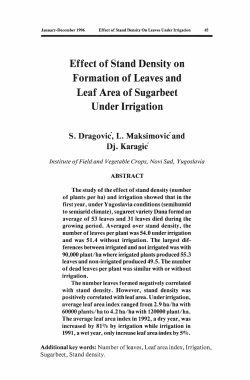 Effect of Stand Density on Formation of Leaves and Leaf Area of