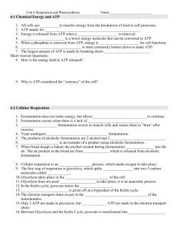 6.2 Cellular Respiration