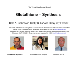 Glutathione &ndash; Synthesis