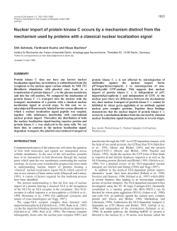 Nuclear import of protein kinase C occurs by a mechanism distinct