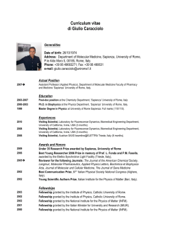 Curriculum vitae di Giulio Caracciolo