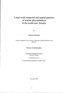 Large-scale temporal and spatial patterns of marine phytoplankton