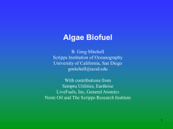 Algae Biofuel - Division of Physical Sciences