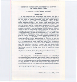 protein supplement(ENERGY)until calving. After calving, cows either