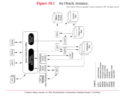 Figure 10.1 An Oracle instance.