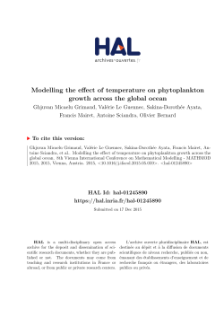 Modelling the effect of temperature on phytoplankton growth across