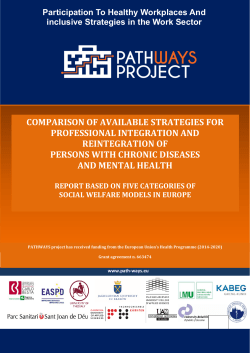 comparison of available strategies for professional integration and