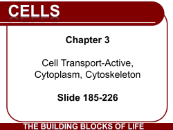 Cell Structure and Function
