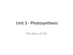 Photosynthesis