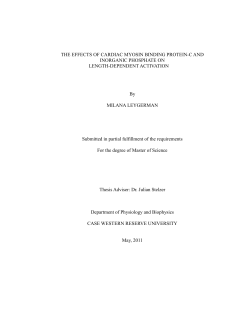 THE EFFECTS OF CARDIAC MYOSIN BINDING