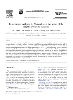 Experimental evidence for N recycling in the leaves of the seagrass