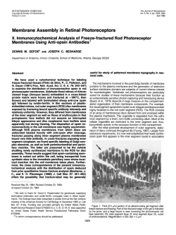 Membrane Assembly in Retinal Photoreceptors