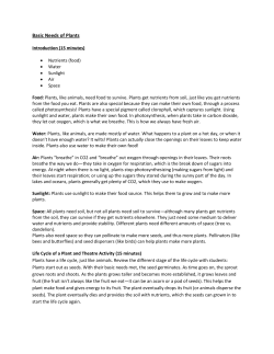 Basic Needs of Plants Introduction (15 minutes) Nutrients (food