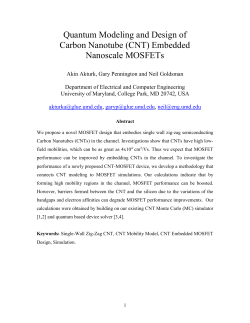 Carbon Nanotube MOSFETs (CNTs)
