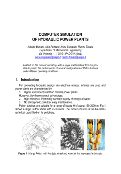 COMPUTER SIMULATION OF HYDRAULIC POWER PLANTS