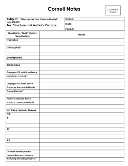 Cornell Notes Template