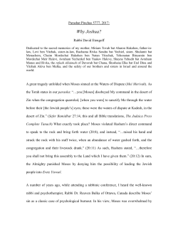 Parashat Korach 5770, 2010