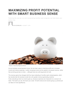 maximizing profit potential with smart business sense