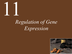 Lecture Presentation to accompany Principles of Life