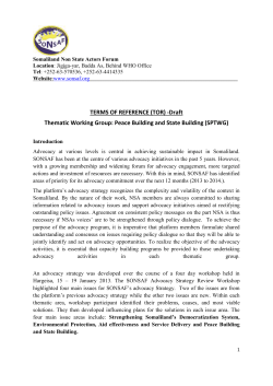 State Building and Peace Building Thematic Working Group