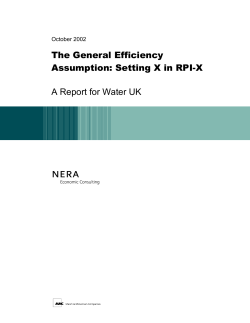 The General Efficiency Assumption: Setting X in RPI