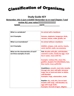 Study Guide KEY