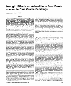 Drought Effects on Adventitious Root Devel
