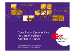 Case Study: Opportunities for Carbon Forestry Activities in France