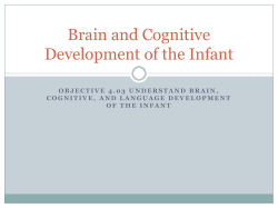 Brain and Cognitive Development of the Infant