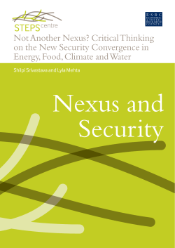Not Another Nexus? Critical Thinking on the New