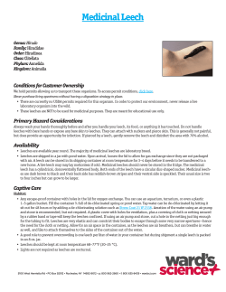 Medicinal Leech - Boreal Science