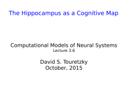 The Hippocampus as a Cognitive Map
