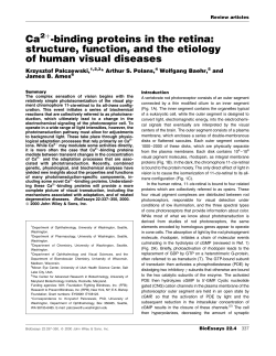 binding proteins in the retina
