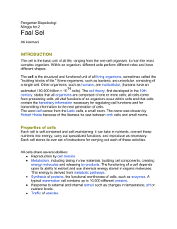 Pengantar Biopsikologi