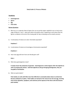 Section 6.2 Study Guide